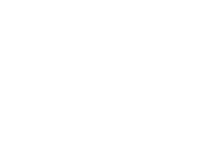 Nex AI Consulting